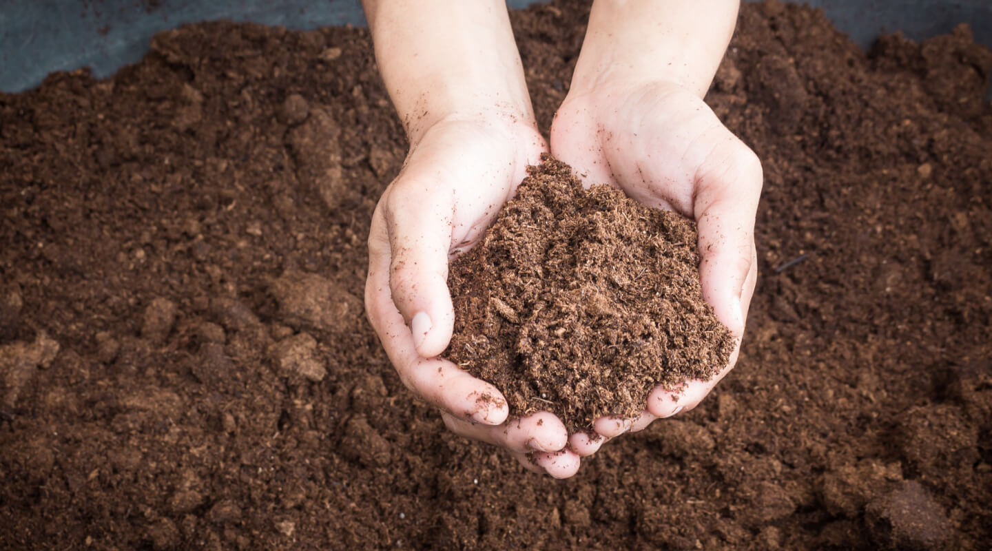 一握りの土に可能性を求めて