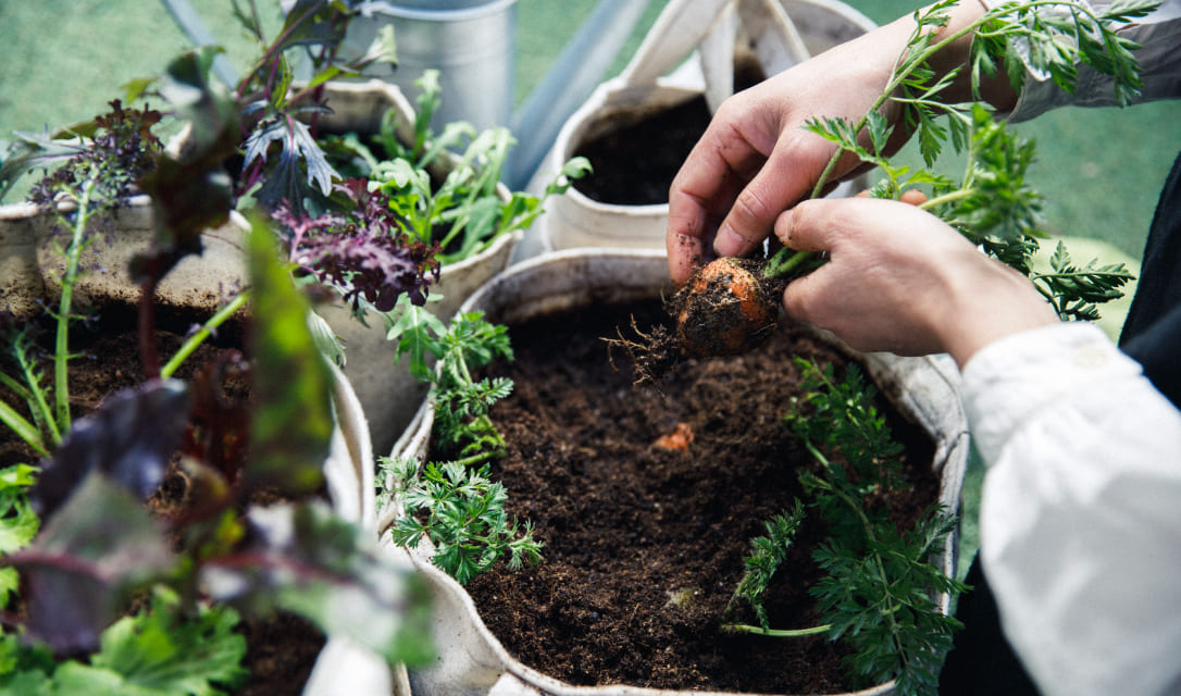THEO 完全有機土【ジオ】