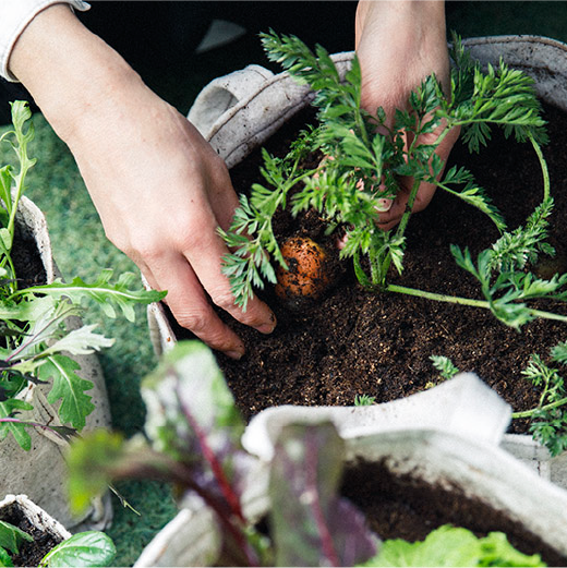 oiTHEO　整える完全有機肥料【オイジオ】