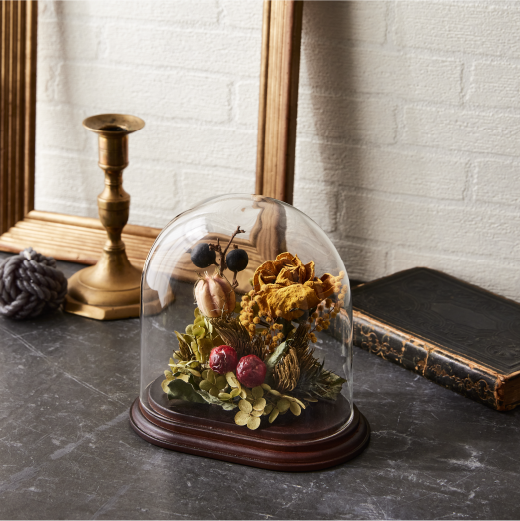 Oval Glass Dome with Wood