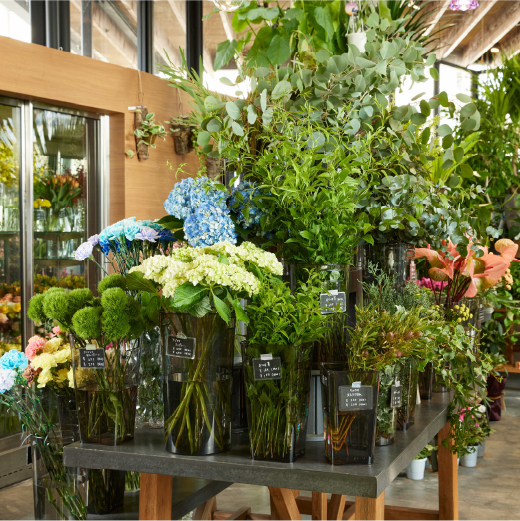 PET Bucket Round / PET Bucket Square